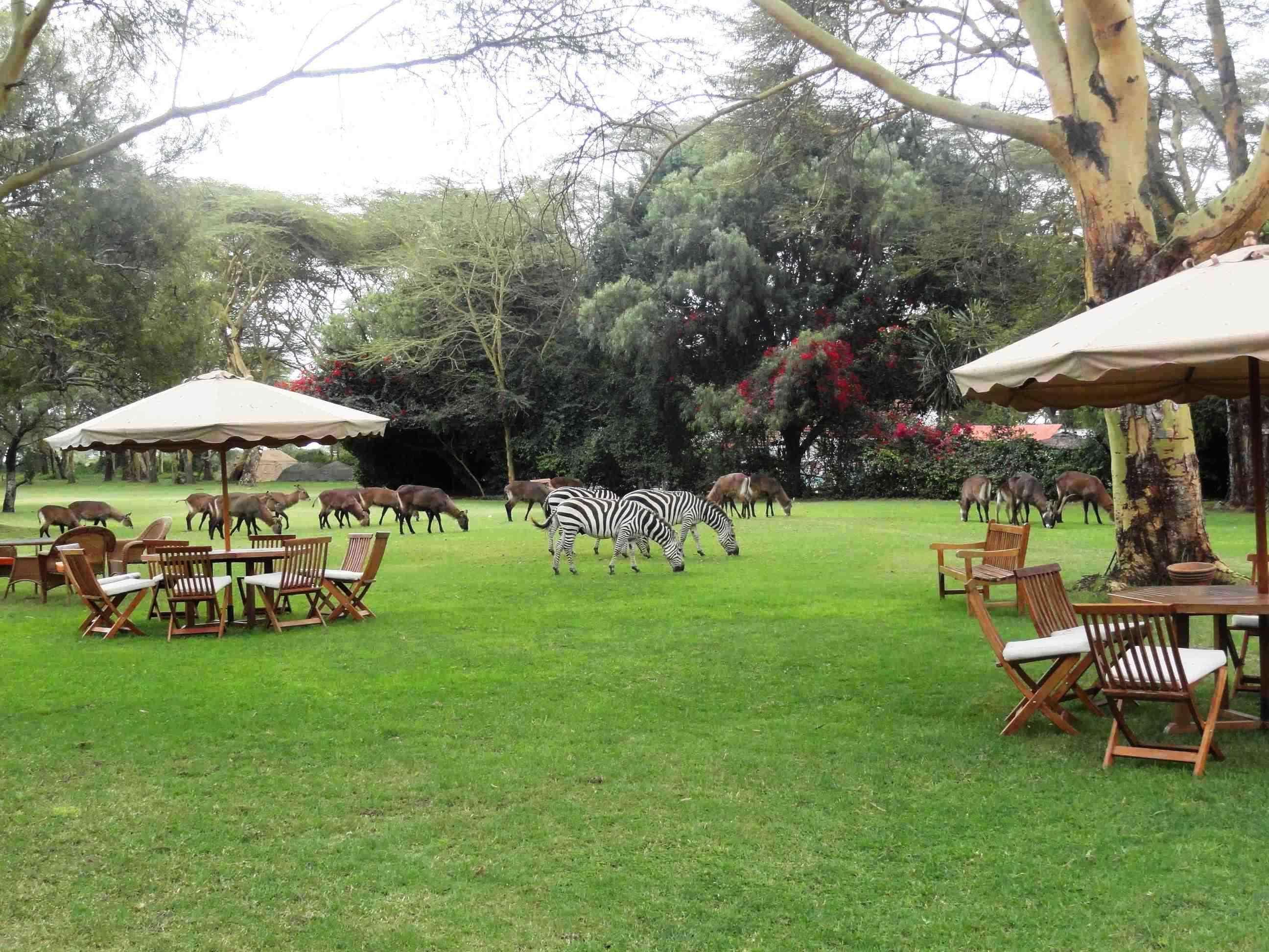 Muthu Lake Naivasha Country Club, Naivasha Karagite Екстер'єр фото