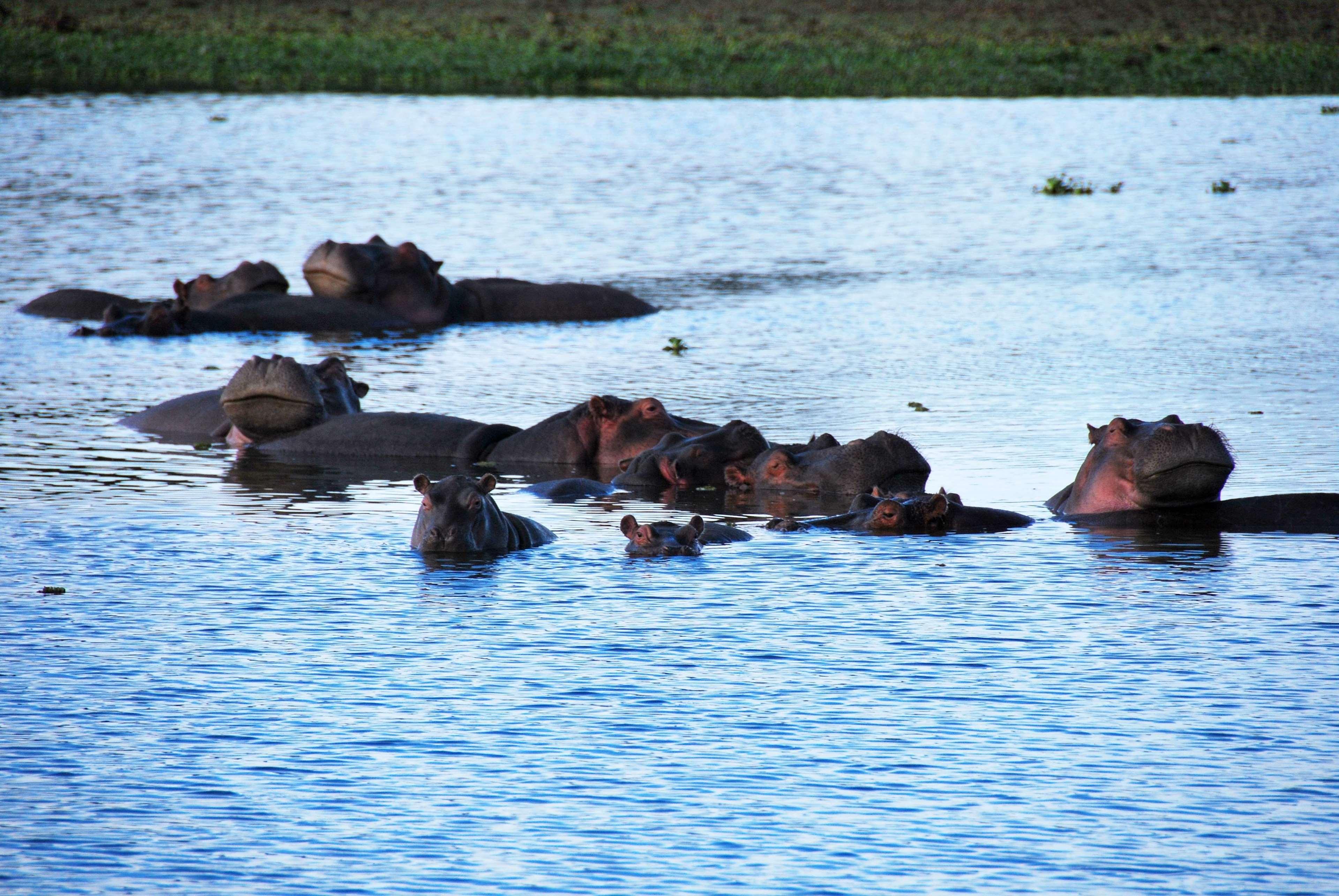 Muthu Lake Naivasha Country Club, Naivasha Karagite Екстер'єр фото